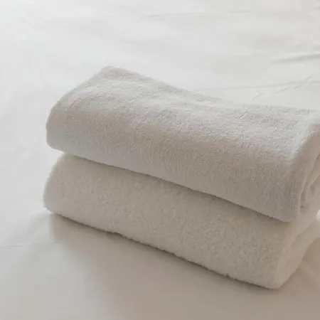 公寓式酒店 The Four Winds Hotel Istanbul 伊斯坦布尔